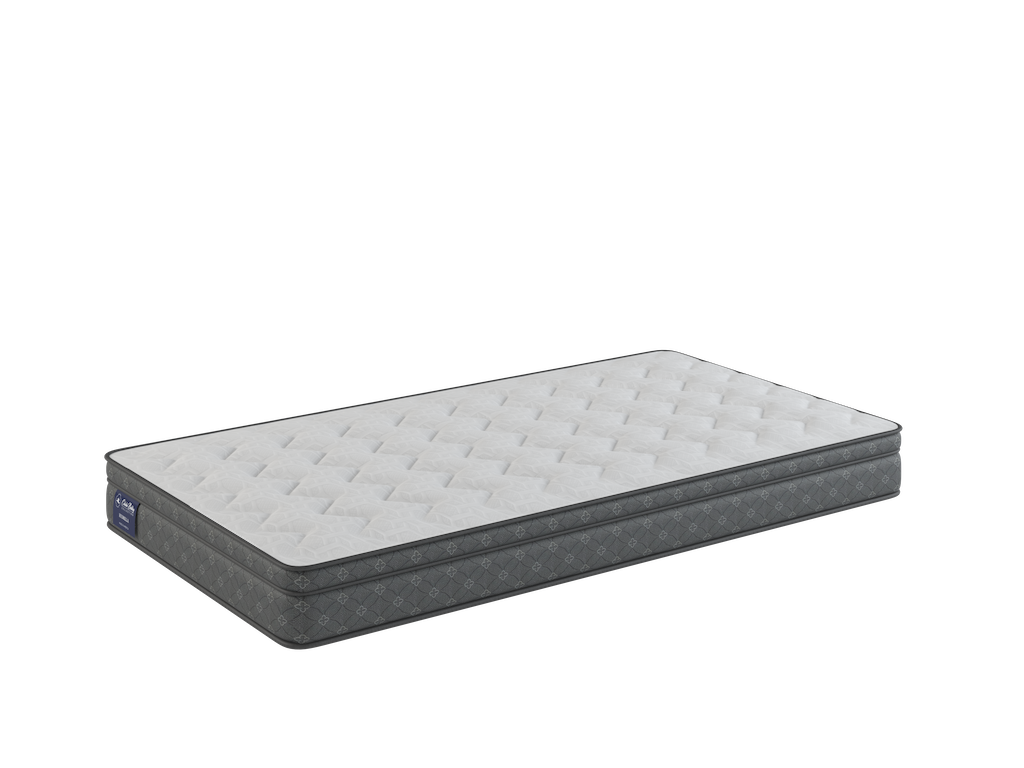 Hydrilla Euro Top Mattress