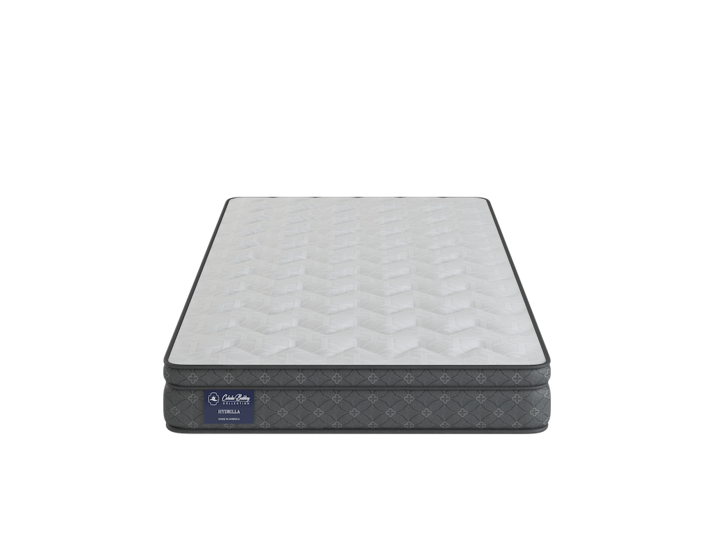 Hydrilla Euro Top Mattress