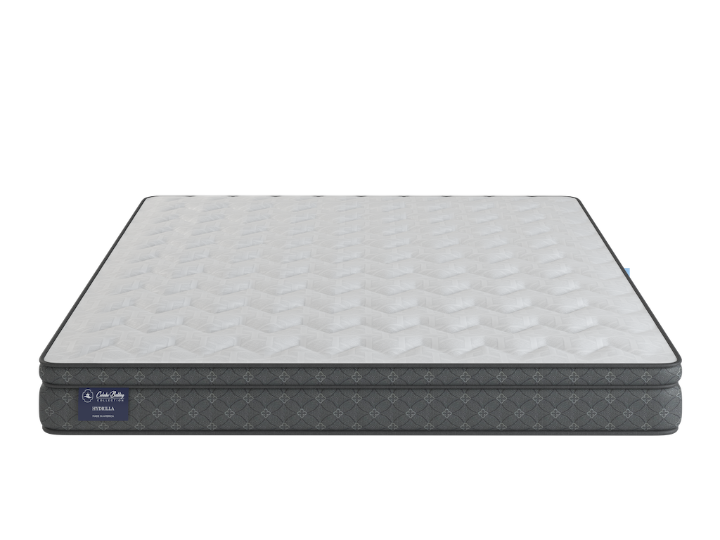 Hydrilla Euro Top Mattress